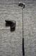 Used Scotty Cameron Super Select Newport Plus Putter / 34.0 Inches